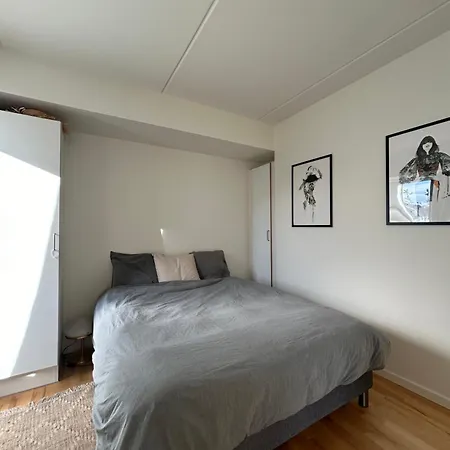 Amazing In The Middle Of Centre Apartment
